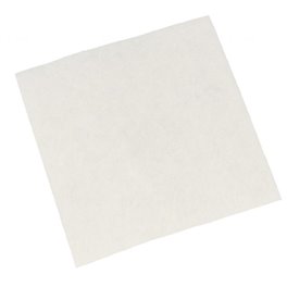 FILTER USISIVAČA SUNĐERASTI 432200494501 PHILIPS